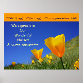 Wir schätzen wunderbare Krankenschwestern CNAs Pfl Poster