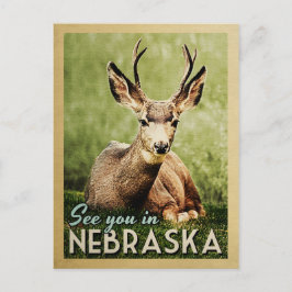 Wir sehen uns in Nebraska - Stag Dei Wildlife Postkarte