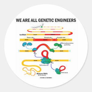Wir sind alle genetische Ingenieure (RNS Runder Aufkleber