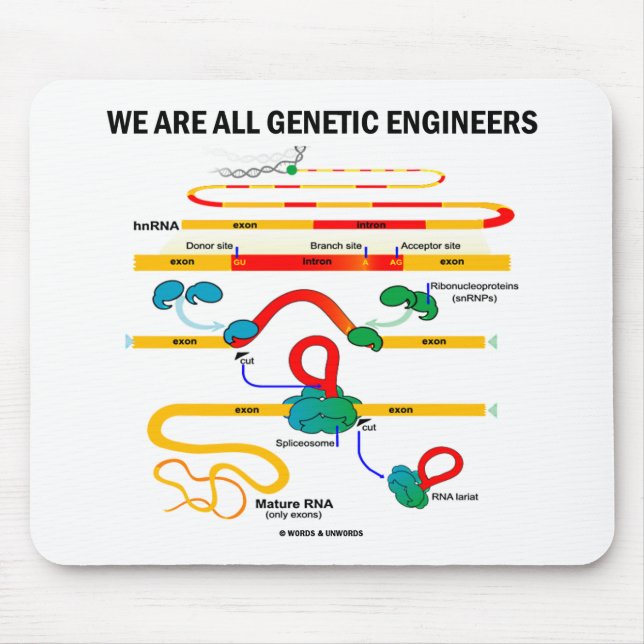 Wir sind alle Gentechniker (RNA Splicing) Mousepad (Vorne)