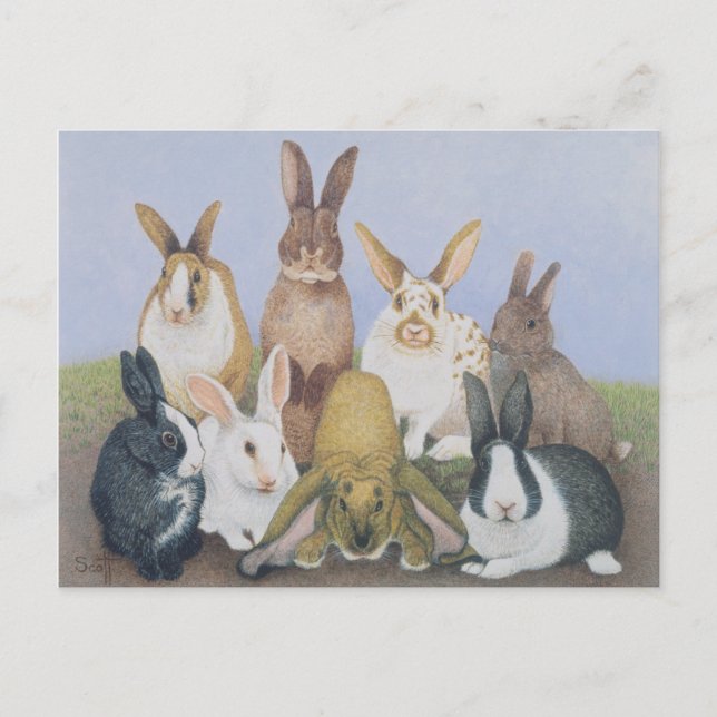 Wir sind alle Ohren Postkarte (Vorderseite)