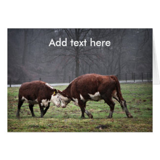 Wir sind am liebsten...