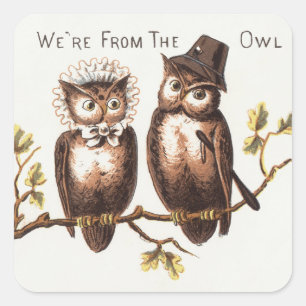 Wir sind aus dem Owl Country: Chromolithograph Art Quadratischer Aufkleber