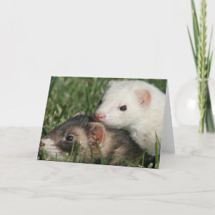 Wir sind Freunde. Schlaffe Frettchenfreunde Feiertagskarte