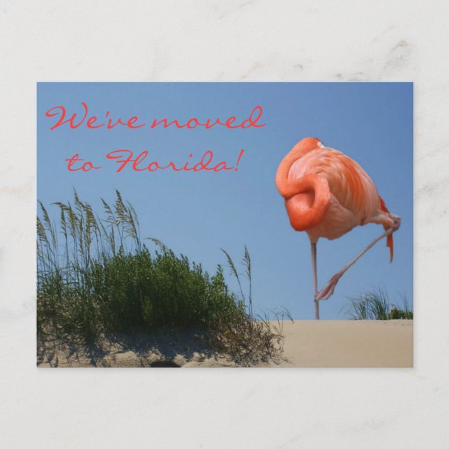 Wir sind nach Florida gezogen! Beach Flamingo Post Ankündigungspostkarte (Vorderseite)