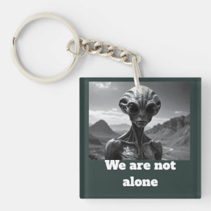 Wir sind nicht allein schlüsselanhänger
