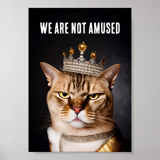 Wir sind nicht erstaunt, wie eine königliche graue poster (Vorne)