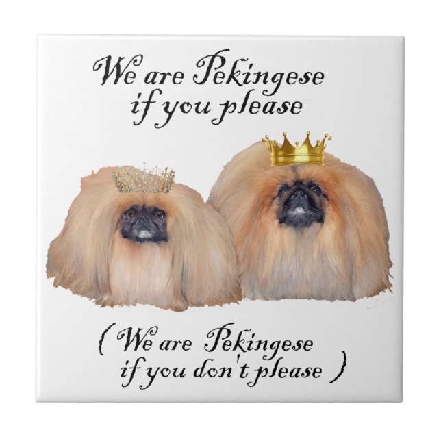 Wir sind Pekingese Fliese (Vorderseite)