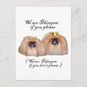 Wir sind Pekingesen Postkarte