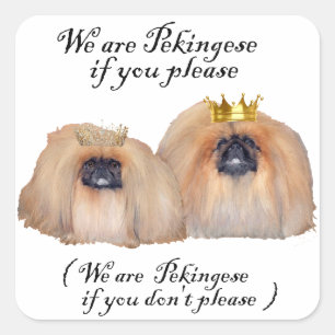Wir sind Pekingesen Quadratischer Aufkleber