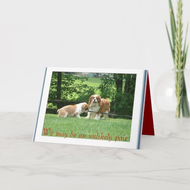 Wir sind vielleicht unwahrscheinlich karte (Vorderseite)