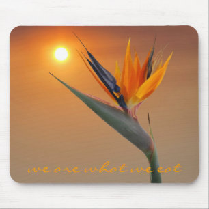 wir sind, was wir essen mousepad