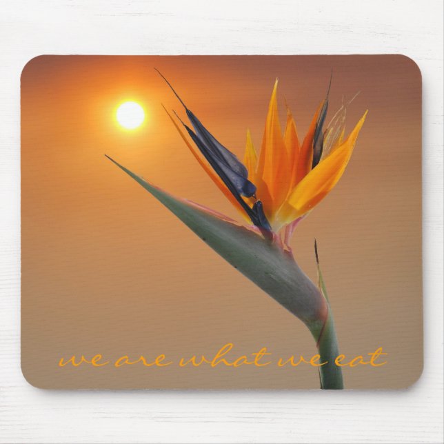 wir sind, was wir essen mousepad (Vorne)