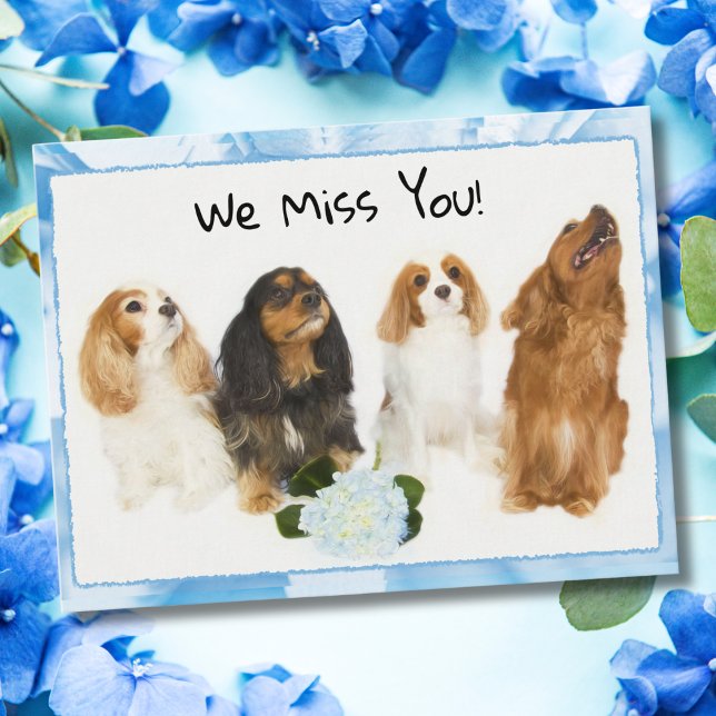 Wir vermissen dich! 4 Cavalier King Charles Postca Postkarte (Von Creator hochgeladen)