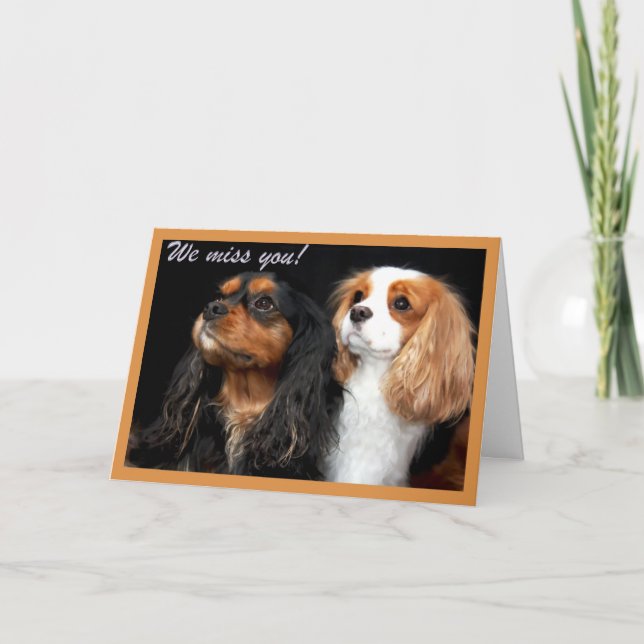 Wir vermissen dich Cavalier King Charles Spaniel C Karte (Vorderseite)