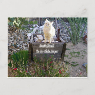 Wir vermissen dich Wyatt Postkarte