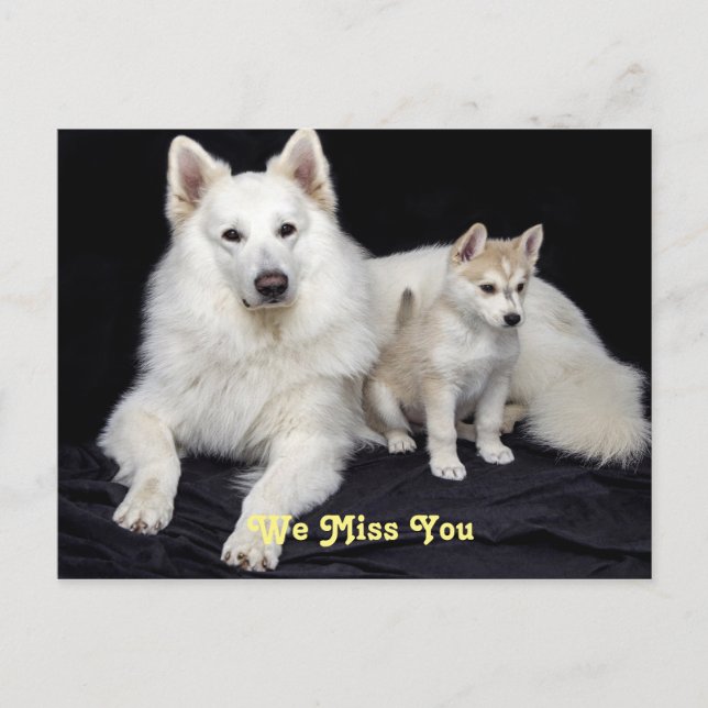 Wir vermissen euch niedlichen Mamma-Hund und Jungt Postkarte (Vorderseite)