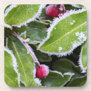 Wir, Wa, Bainbridge Island. Früherer Morgenfrost Getränkeuntersetzer