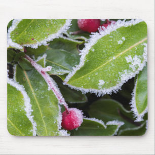 Wir, Wa, Bainbridge Island. Früherer Morgenfrost Mousepad