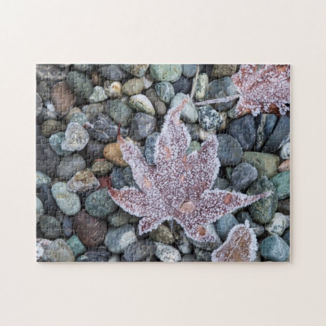 Wir, Wa, Bainbridge Island. Frühmorgens Frost 2 (Horizontal)