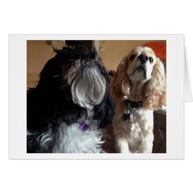 WIR WÜNSCHEN "DIR" EINEN SEHR GLÜCKLICHEN "GEBURTS (Vorderseite (Horizontal))