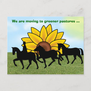 Wir ziehen mit Pferd & Sonnenblumen Neue Adresse Ankündigungspostkarte