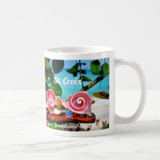 Wirbel Conch Muschel Tasse St. Croix