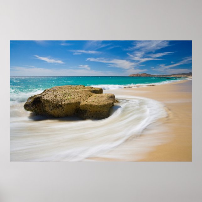 Wirbel mit Meerestide am Strand Poster (Vorne)
