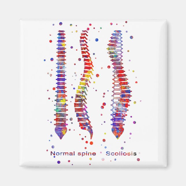 Wirbelsäule Magnet (Vorne)