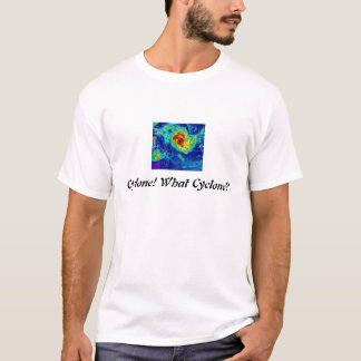 Wirbelsturm! Welcher Wirbelsturm? T-Shirt