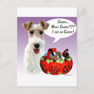 Wire Fox Terrier Halloween Candy Postkarte