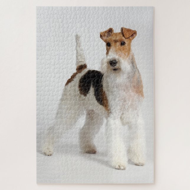 Wire Fox Terrier Hund Foto (Vertikal)