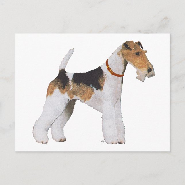 Wire Fox Terrier Postkarte (Vorderseite)