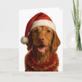 Wire haired Vizsla in a Santa hat Christmas card Karte
