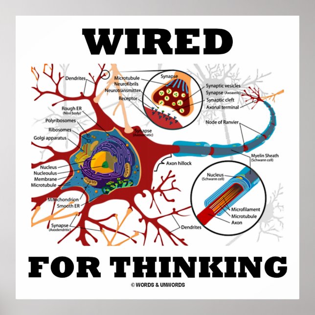 Wired For Thinking Poster (Vorne)