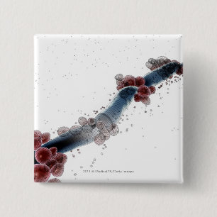 Wireframe mikroskopische Ansicht von Candida Button