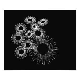 Wireframe, Skelett, dreidimensionales Modell Fotodruck