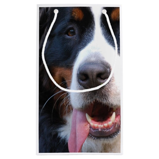 Wirklich niedlicher Bernese Gebirgshund Kleine Geschenktüte (Rückseite)