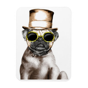Wirklich Niedlicher Mops mit Brille Magnet
