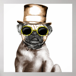 Wirklich Niedlicher Mops mit Brille Poster