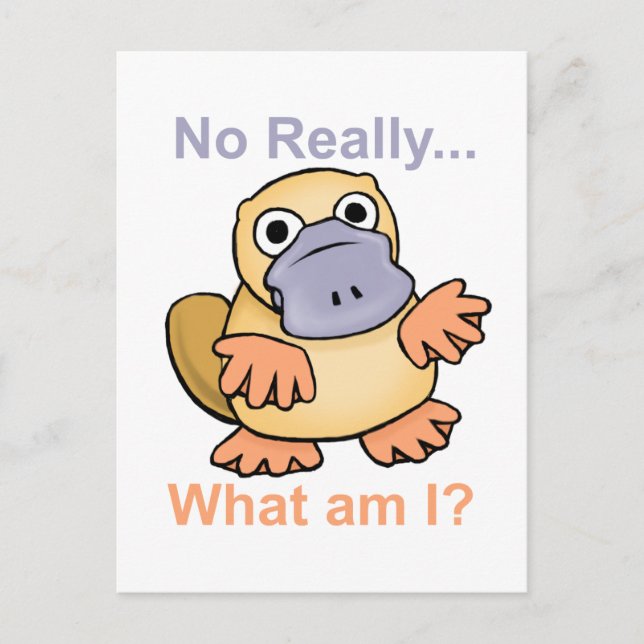 Wirklich... Was bin ich? Platypus Postkarte (Vorderseite)