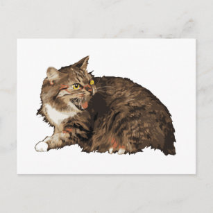 Wirklich wütende Katze Postkarte