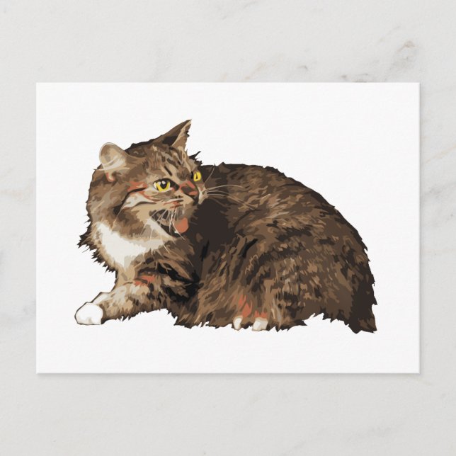 Wirklich wütende Katze Postkarte (Vorderseite)