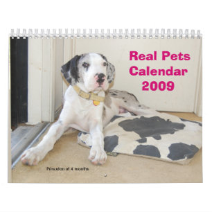 Wirklicher Kalender der Haustier-2009