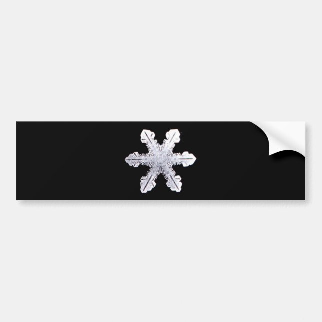 Wirkliches Schneeflocke-Bild Autoaufkleber (Vorne)