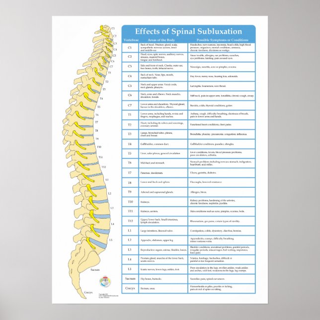 Wirkungen der Spinalsubluxation Chiropraktisches P Poster (Vorne)