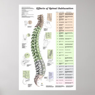 Wirkungen von Spinal Subluxation Poster Chiropract
