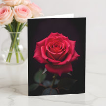 Wirst du meine Valentinsliebe sein, rote Rose?