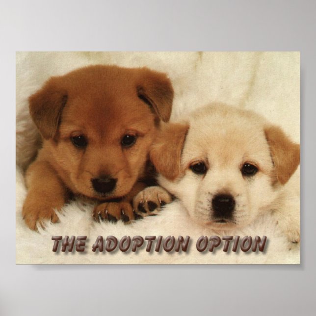 Wirst du warten, um ein Tier adoptieren? Poster (Vorne)