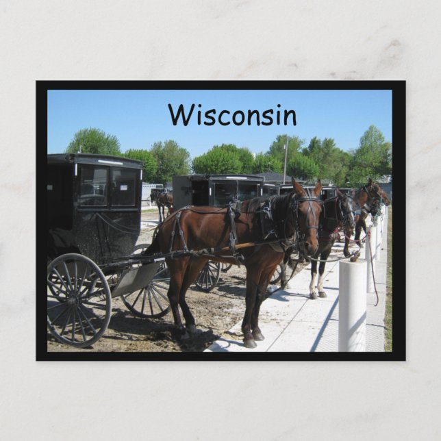 Wisconsin Amish Postkarte (Vorderseite)
